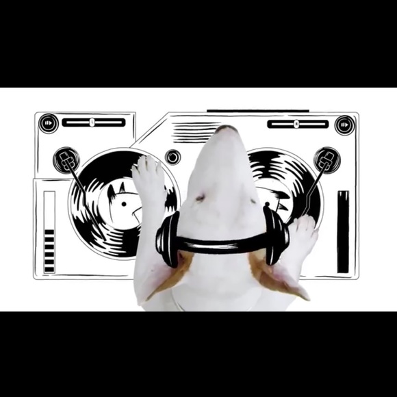 Jimmy Choo ChooHound Clutch - Picture 13 of 14